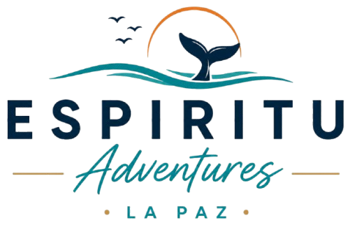 Espíritu Adventures · La Paz